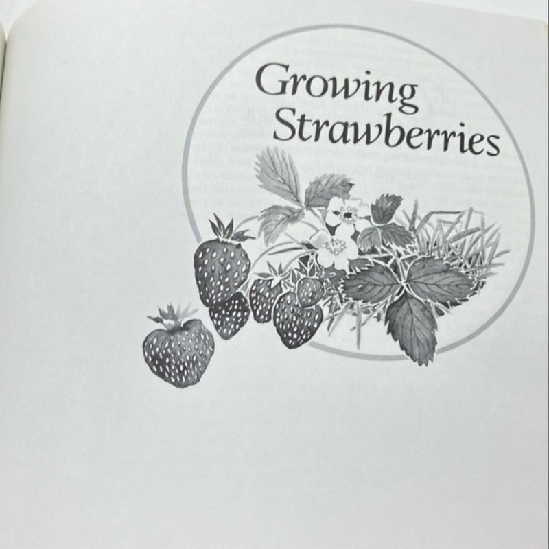 Simply Strawberries    RARE
