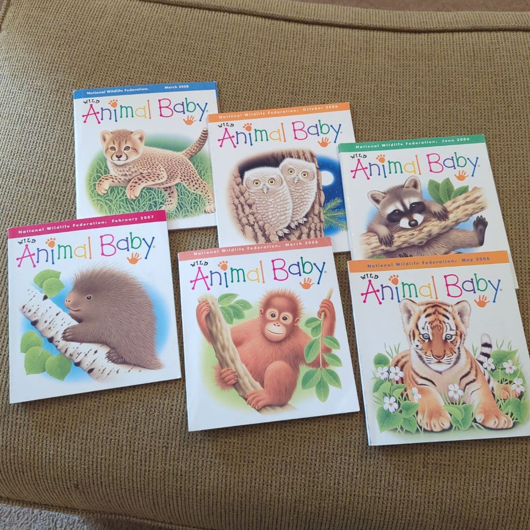 6BookBundle! Wild Animal Baby Collection!