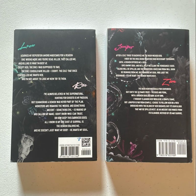 Her Soul to Take/Her Soul for Revenge by Harley LaRoux, Paperback ...