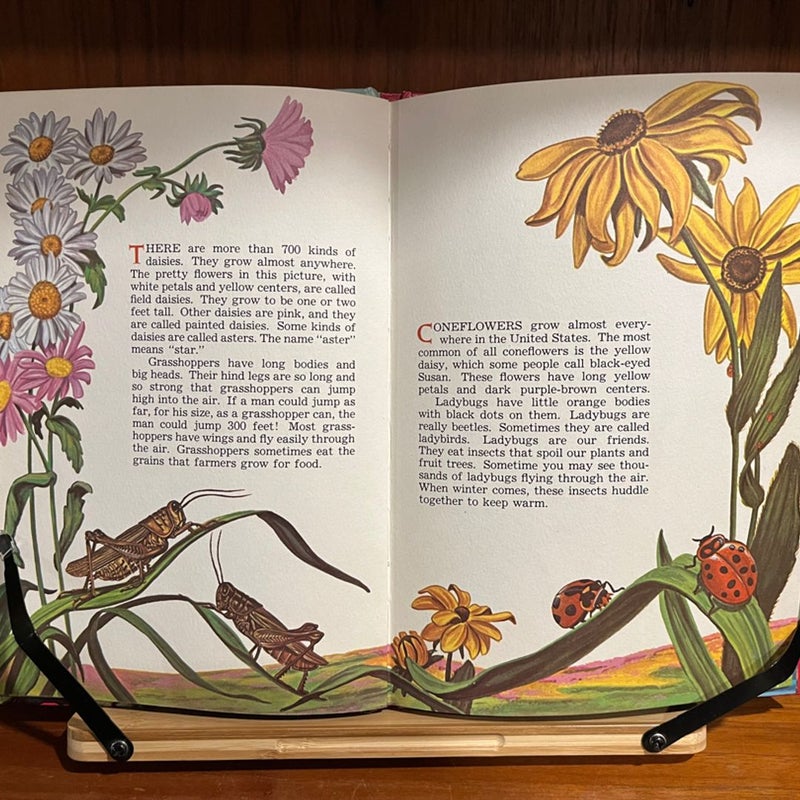 Vintage Children's Books -- Three Joe Maniscalco Books 1960s