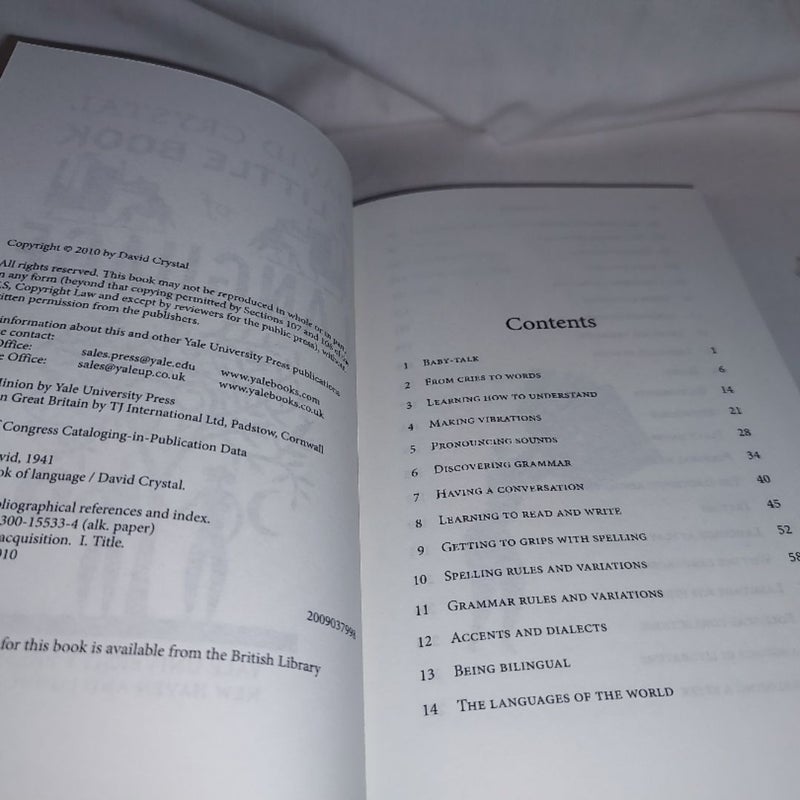 A Little Book of Language