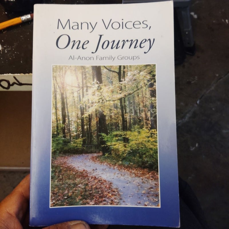 Many Voices, One Journey