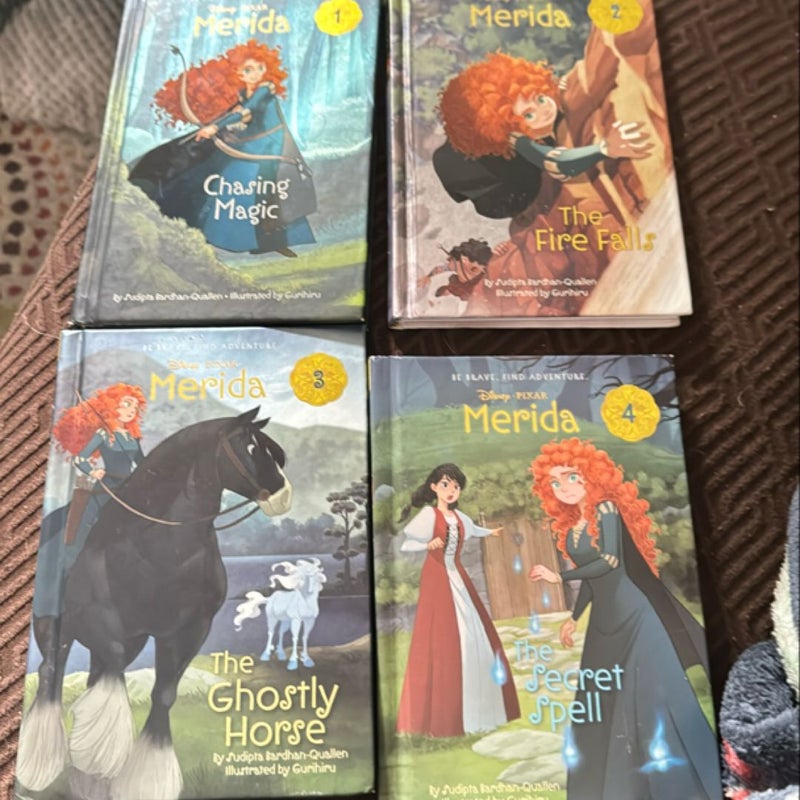 Merida #1: Chasing Magic (Disney Princess)