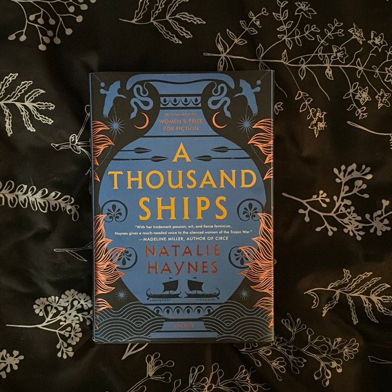 A Thousand Ships by Natalie Haynes