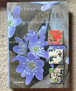 A Pocket Guide to Wild Flowers of North America