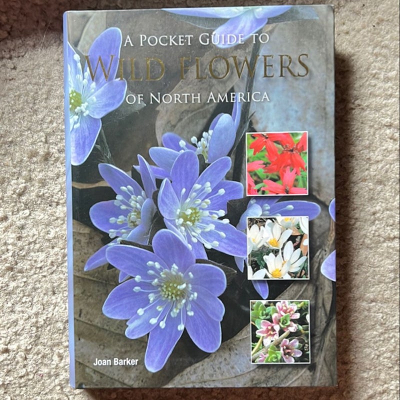 A Pocket Guide to Wild Flowers of North America