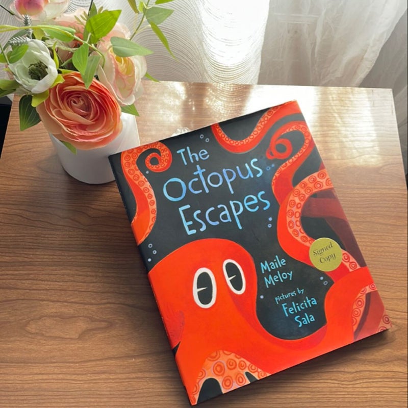 The Octopus Escapes