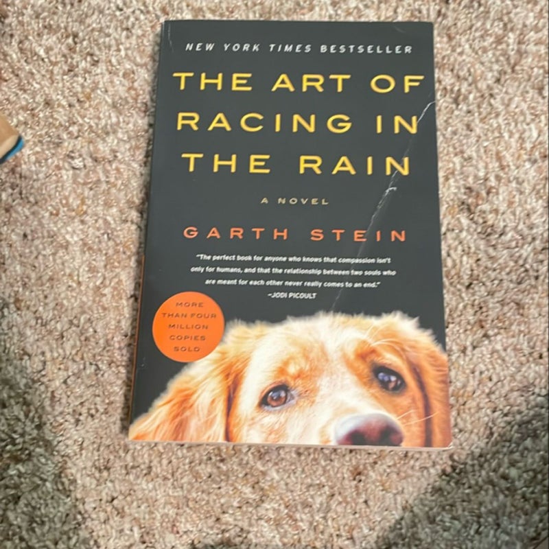 The Art of Racing in the Rain