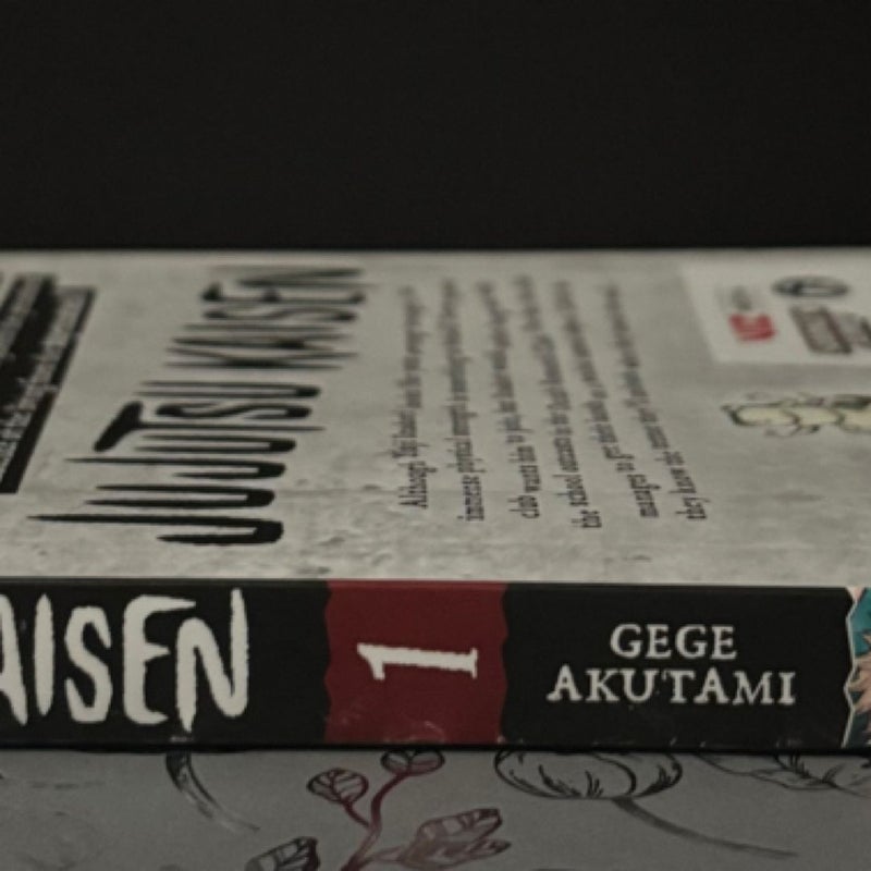 Jujutsu Kaisen, Vol. 1