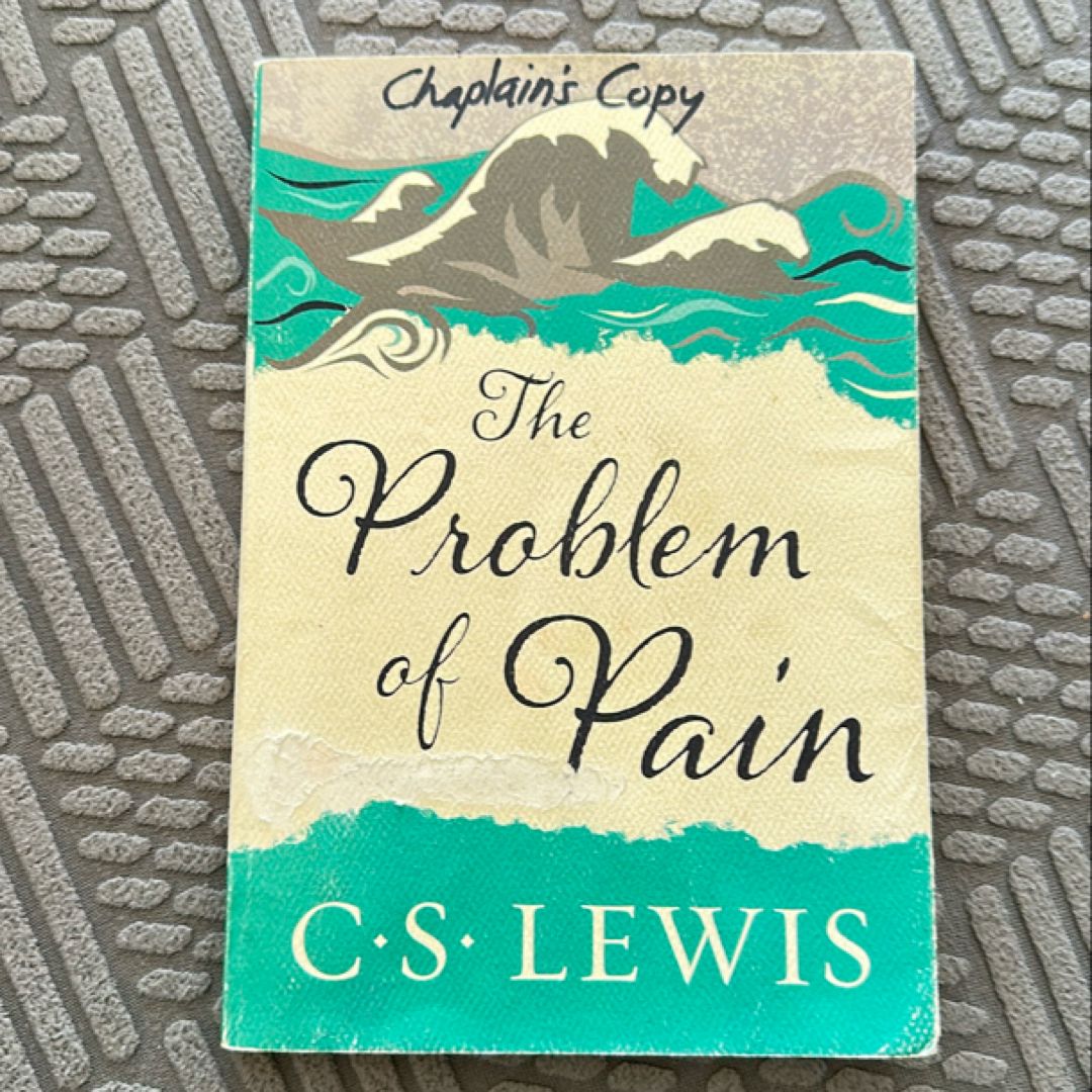 The Problem of Pain