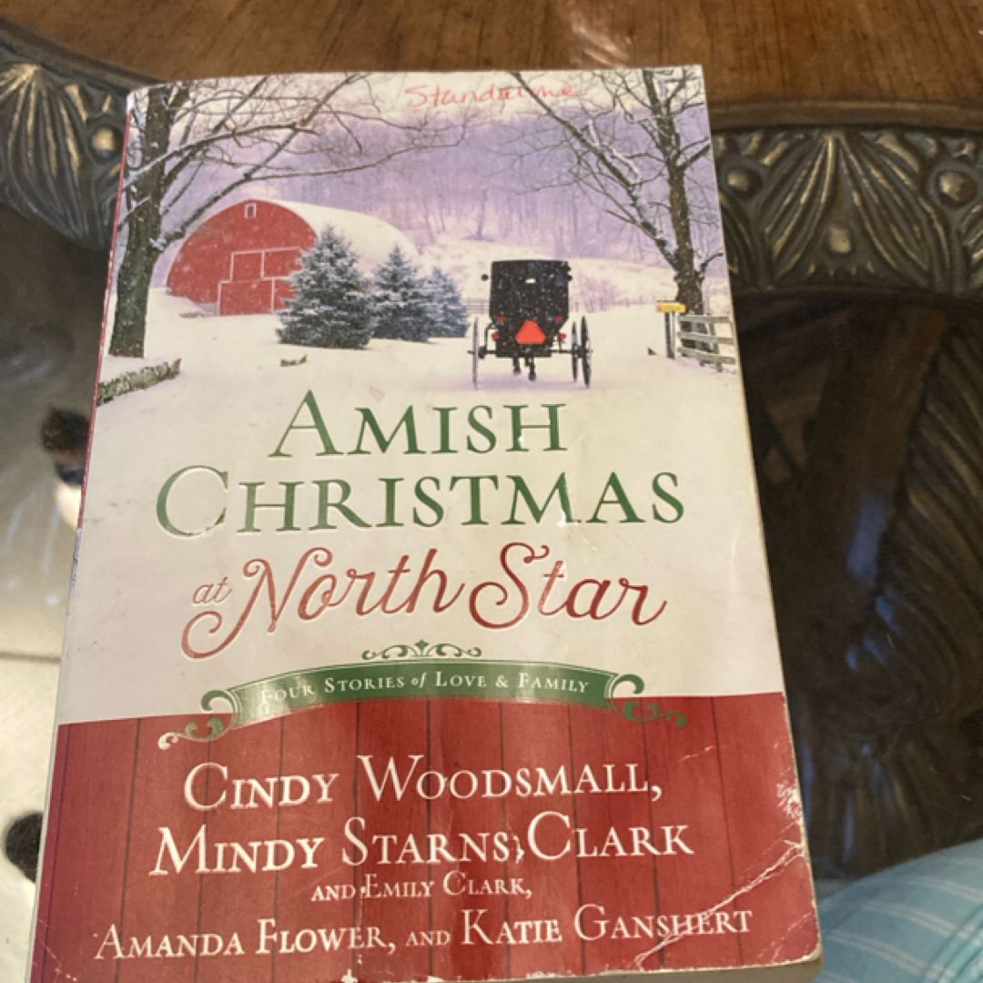 Amish Christmas at North Star