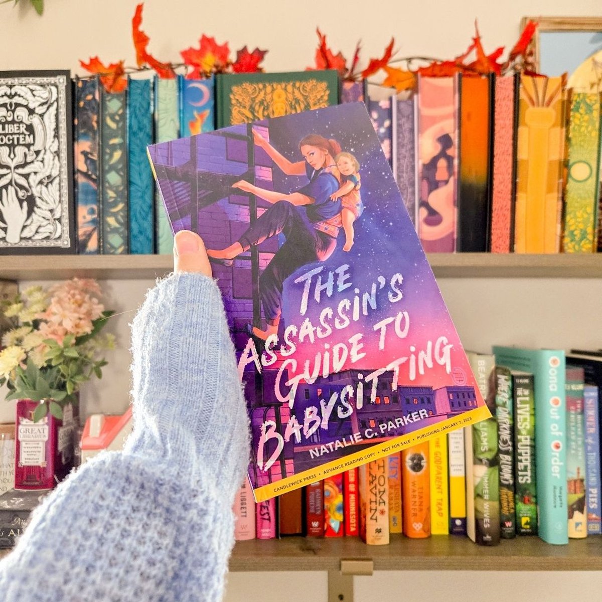 The Assassin's Guide to Babysitting by Natalie C. Parker