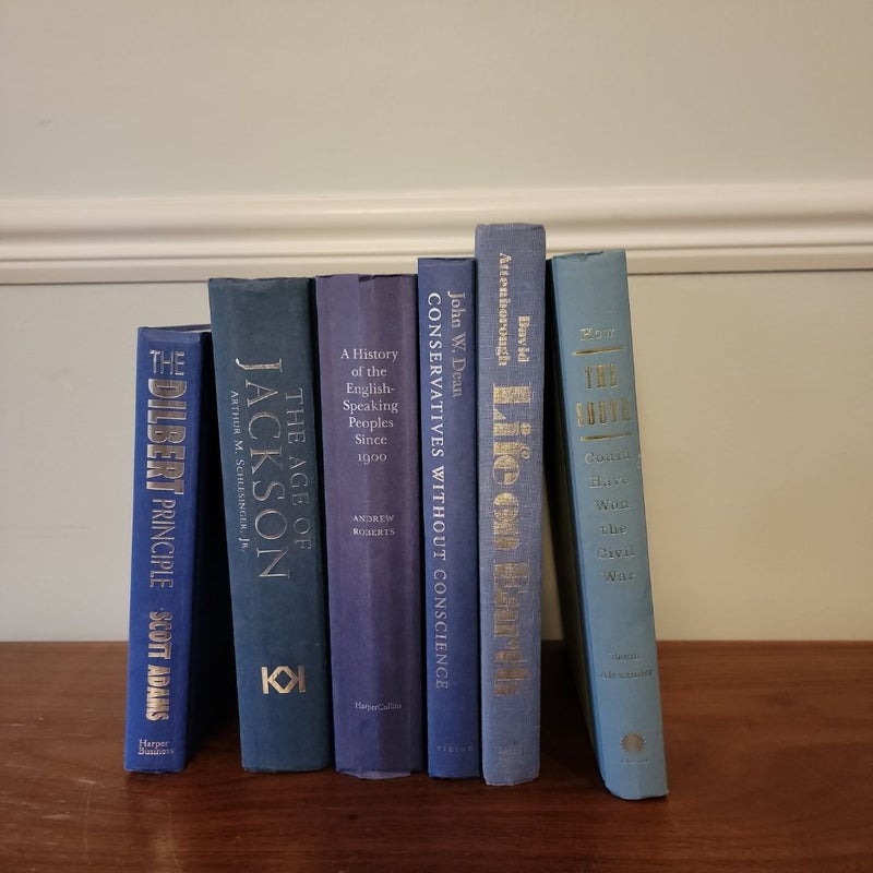 Blue hardbacks decor bundle 