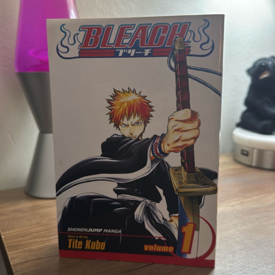 Bleach, Vol. 1