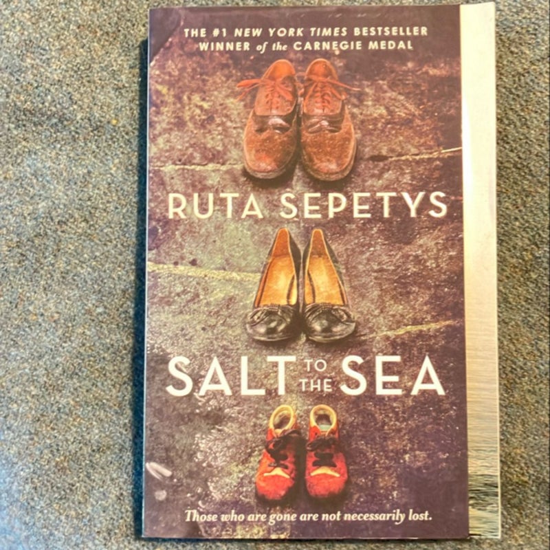 Salt to the Sea