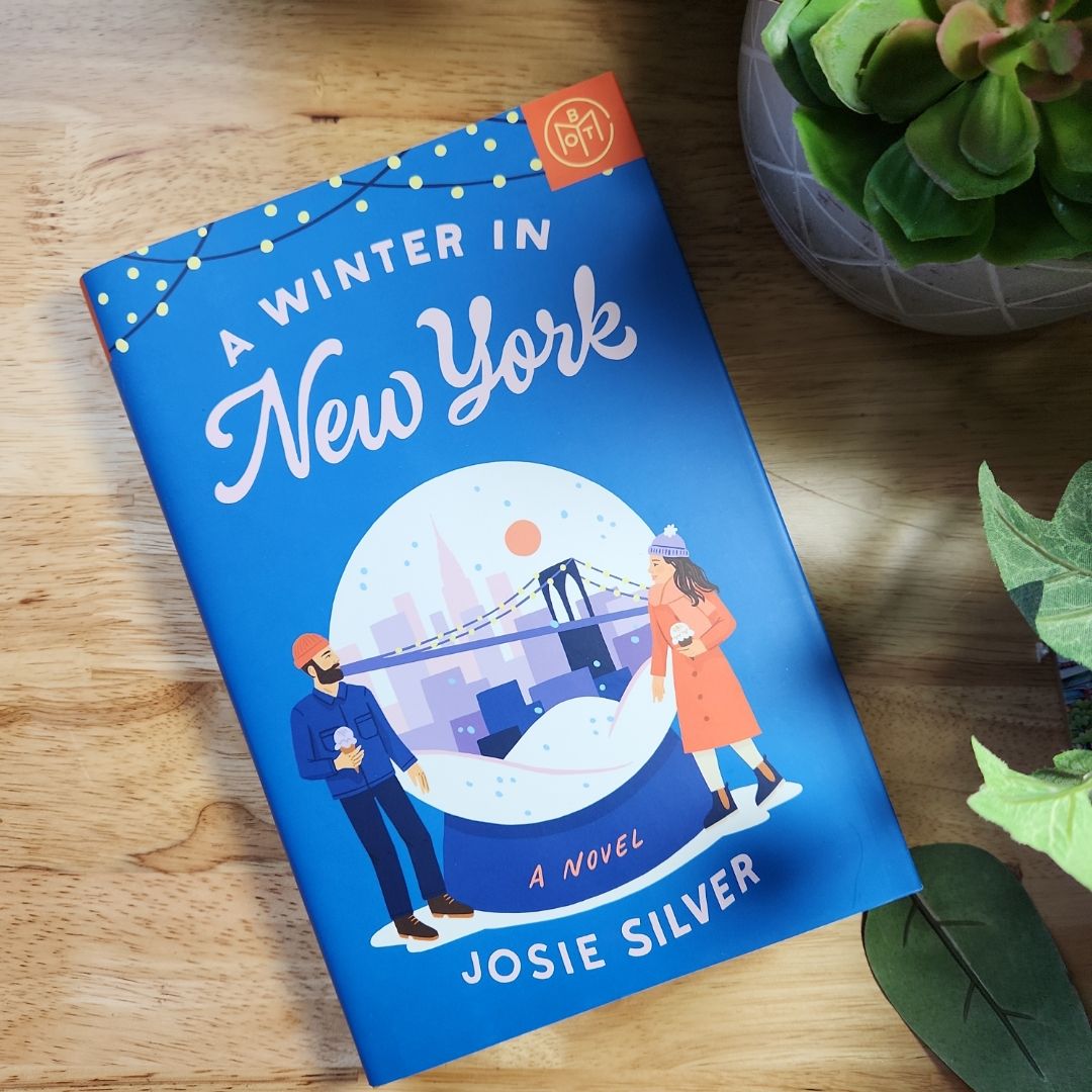 A Winter in New York