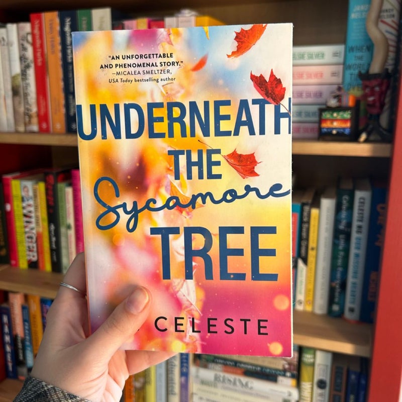 Underneath the Sycamore Tree