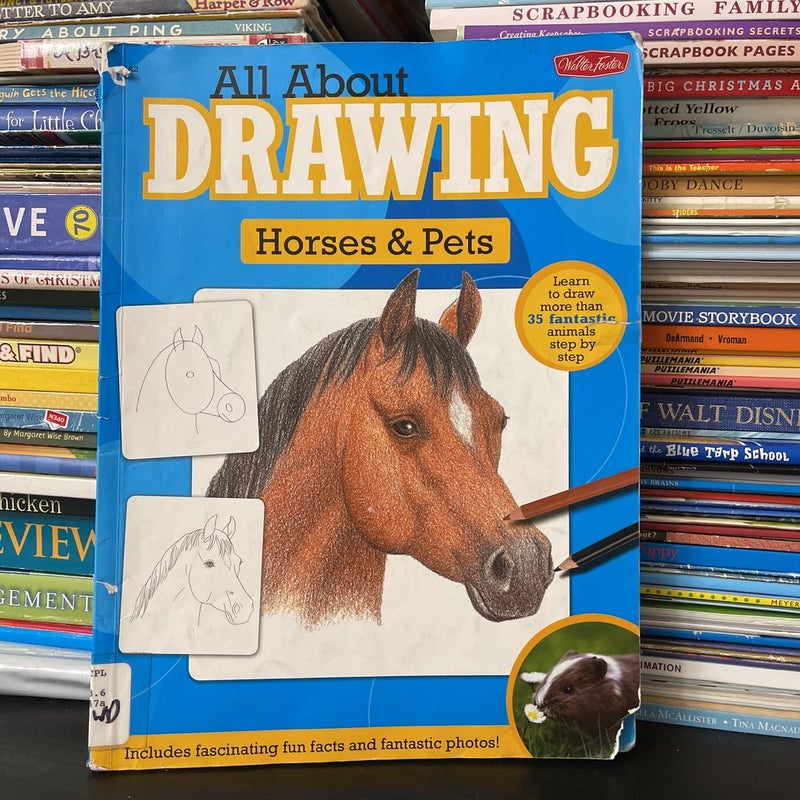 All about Drawing Horses and Pets