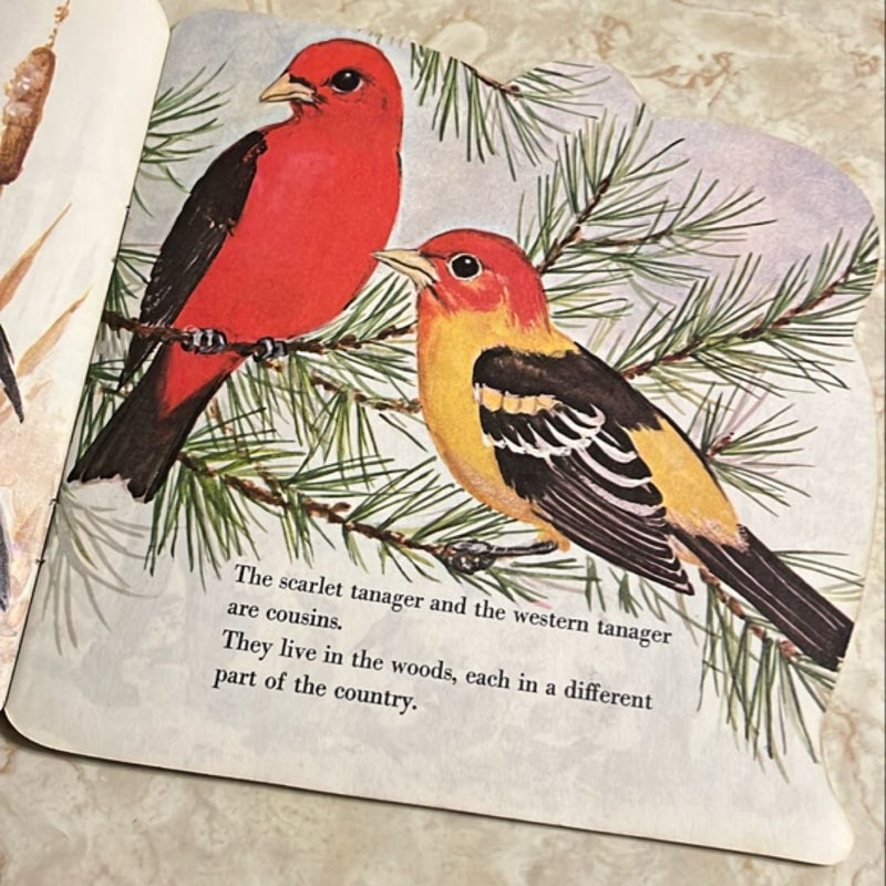 The Bird Book