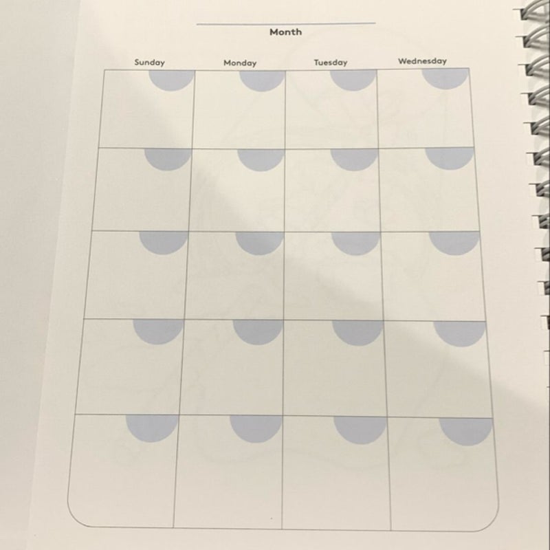 The Ideal Planner