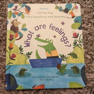 Lift-The-Flap First Questions and Answers What Are Feelings?