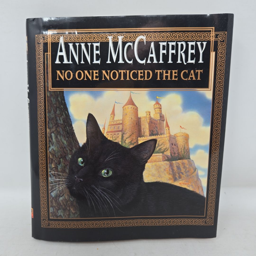 No One Noticed the Cat