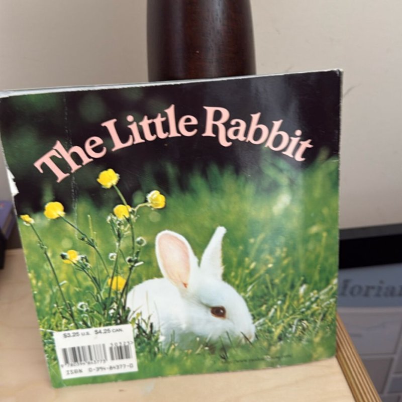 The Little Rabbit by Judy Dunn, Phoebe Dunn