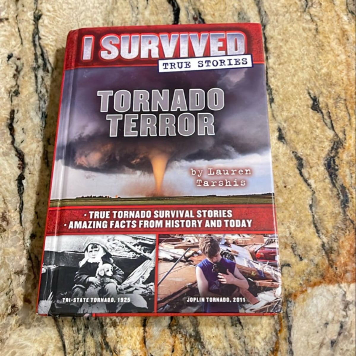 Tornado Terror by Lauren Tarshis