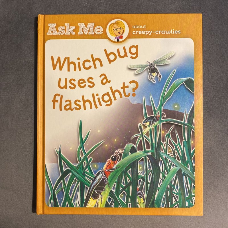 Which Bug Uses A Flashlight?