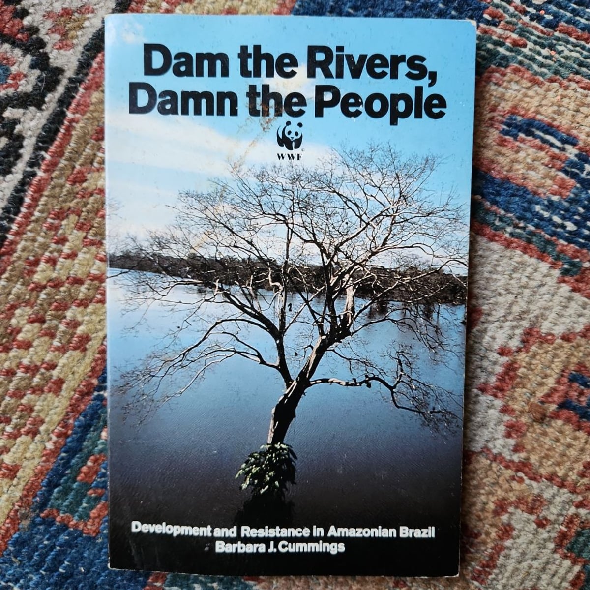 Dam Rivers Damn People by Barbara J. Cummings