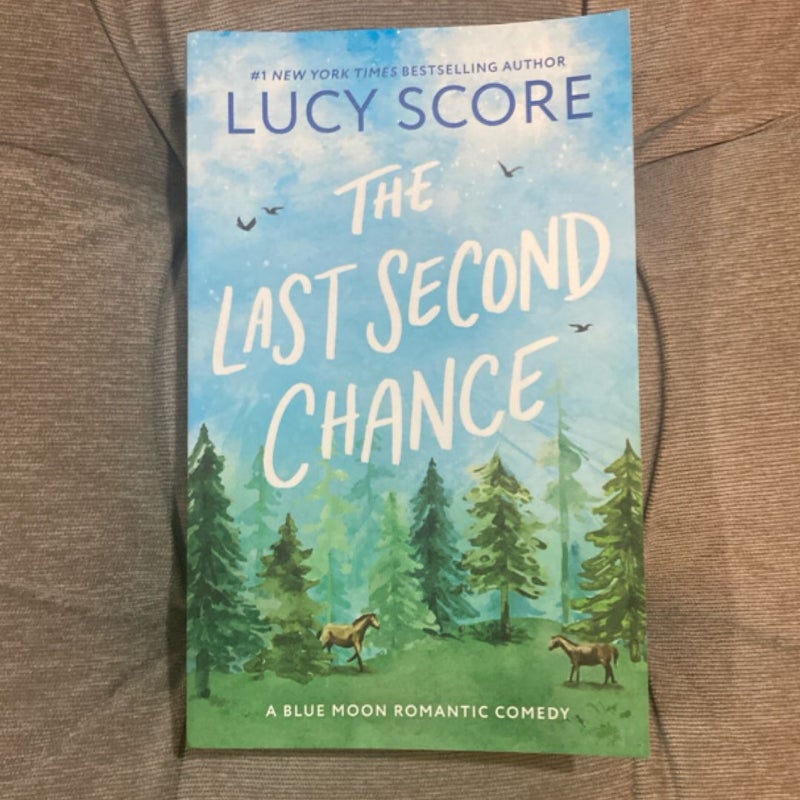 The Last Second Chance