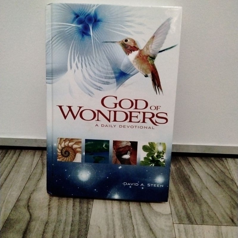 God of Wonders