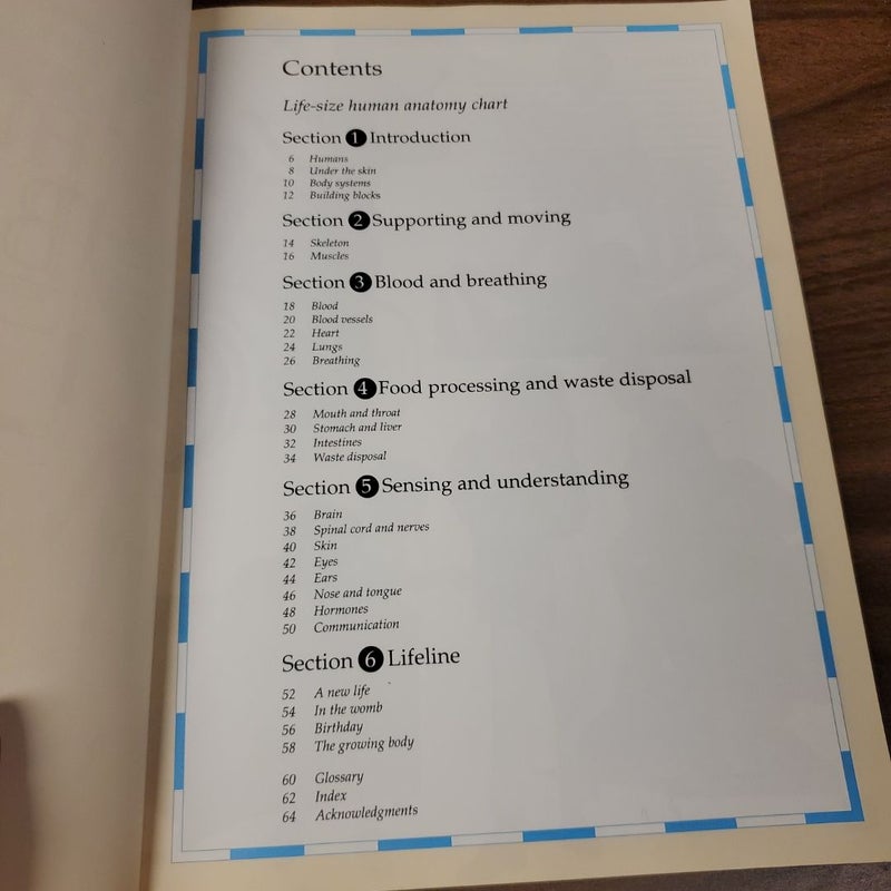The Children's Atlas of the Human Body by Richard Walker