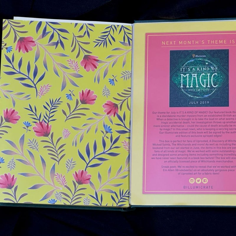 This Time Will Be Different (Illumicrate Exclusive Edition)