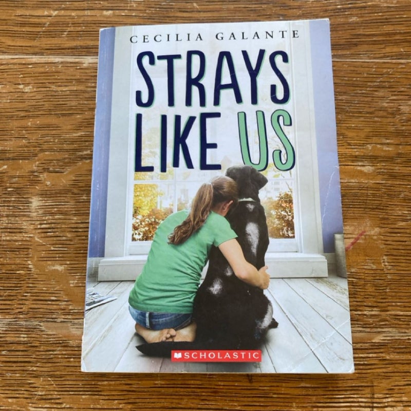 Strays Like Us