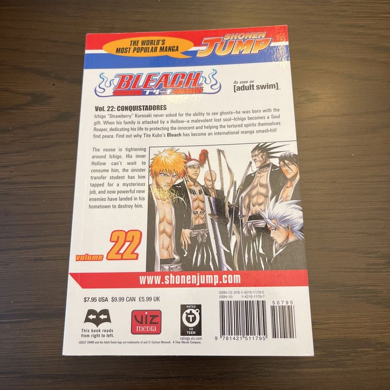 Bleach, Volume 22 by Tite Kubo