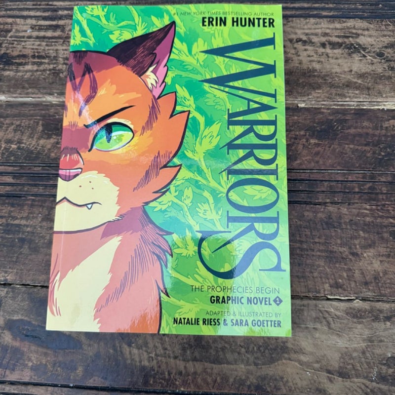 Warriors - Graphic Novel