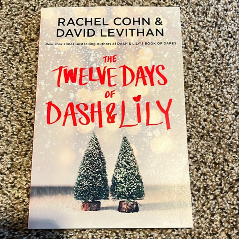 The Twelve Days of Dash and Lily