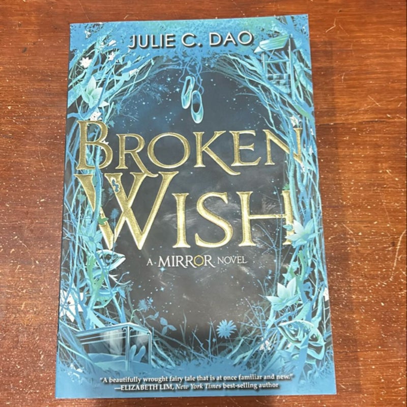 The Mirror Broken Wish