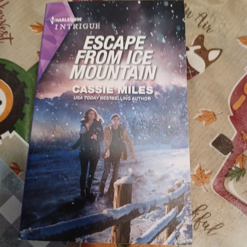 Escape from Ice Mountain