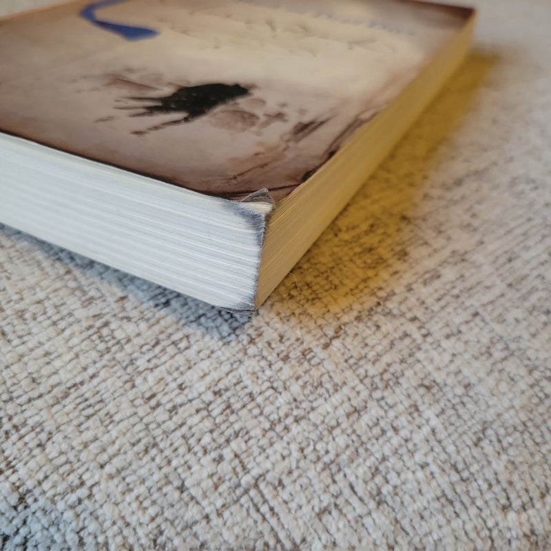 The Book of Dead Days