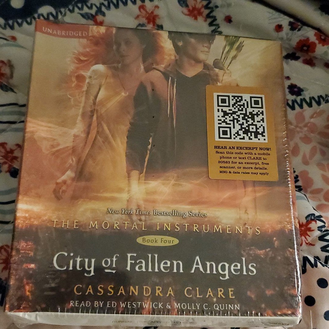 City of Fallen Angels