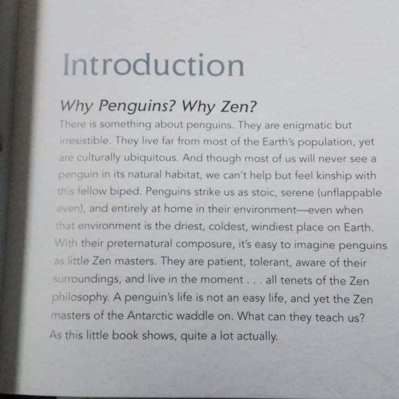 Zen Penguins