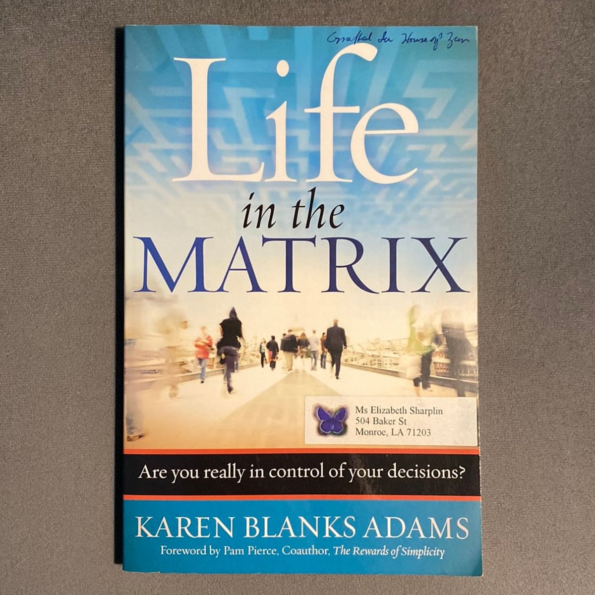 Life in the Matrix by Karen Blanks Adams