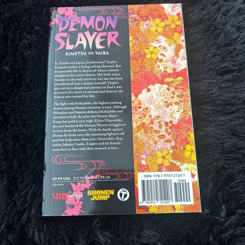 Demon Slayer: Kimetsu No Yaiba, Vol. 21