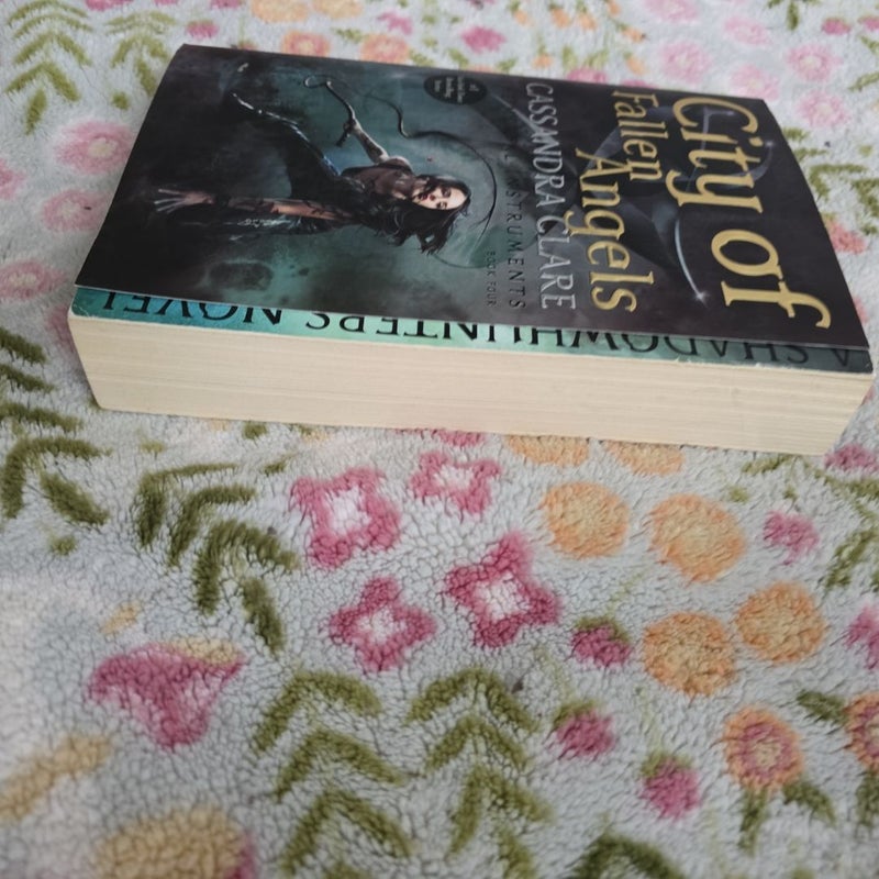 City of Fallen Angels