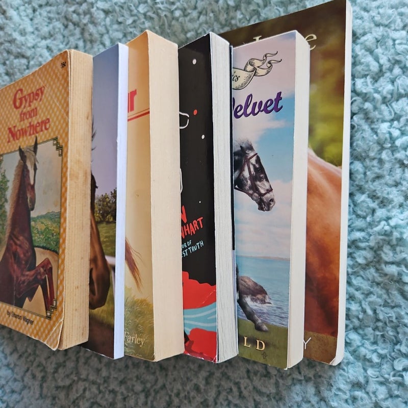 Juvenile horse book collection assorted books (F & NF)