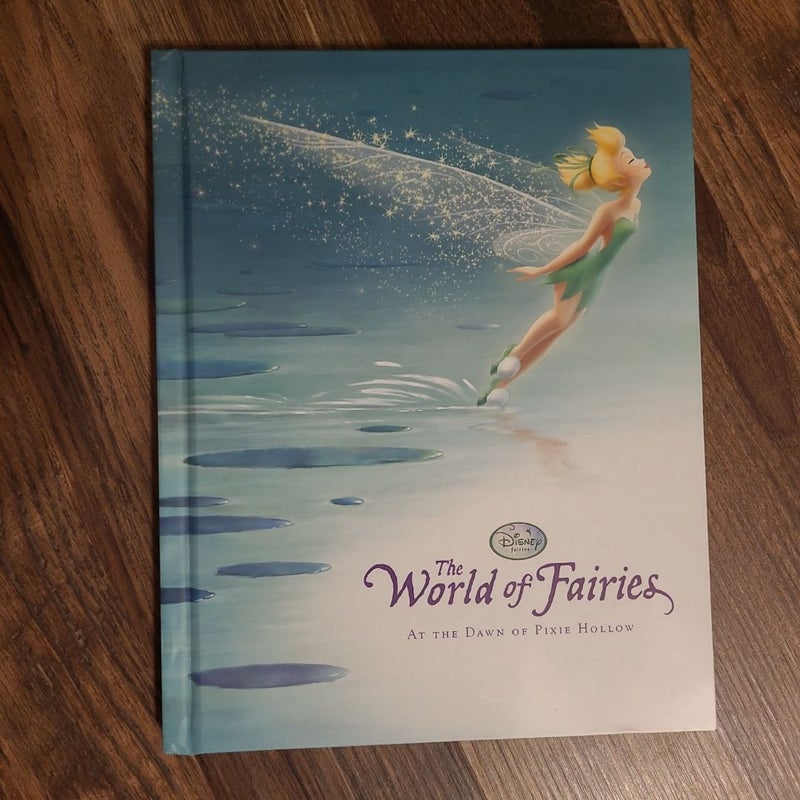 Disney Fairies the World of Fairies