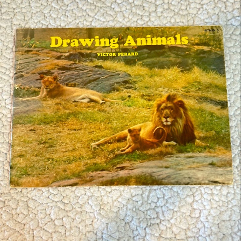 Drawing Animals