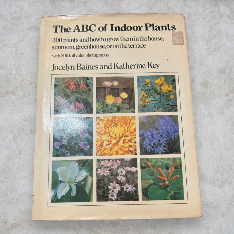 The ABC of Indoor Plants